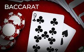 A Step-by-Step Guide to Playing Direct Web Baccarat